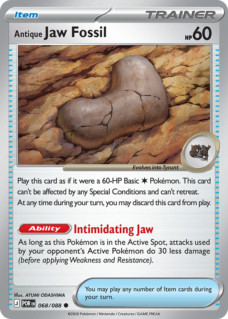 Antique Jaw Fossil 068/088